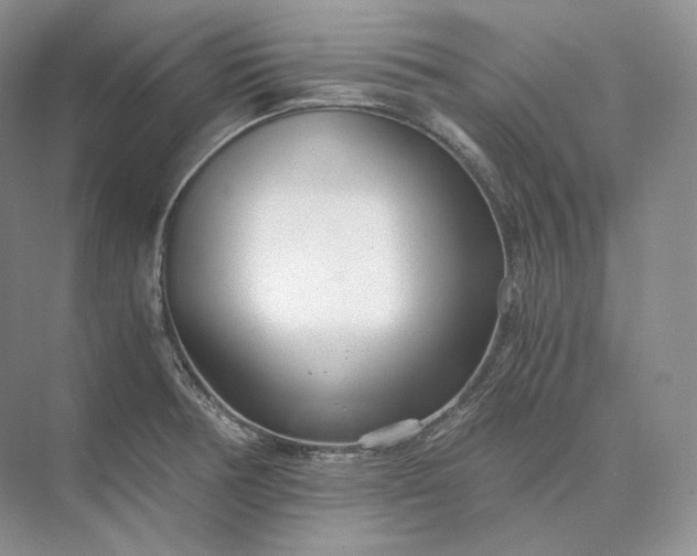 X0000073531378200608141015