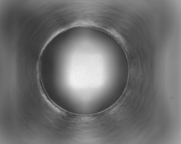 X0000073531382200608141015