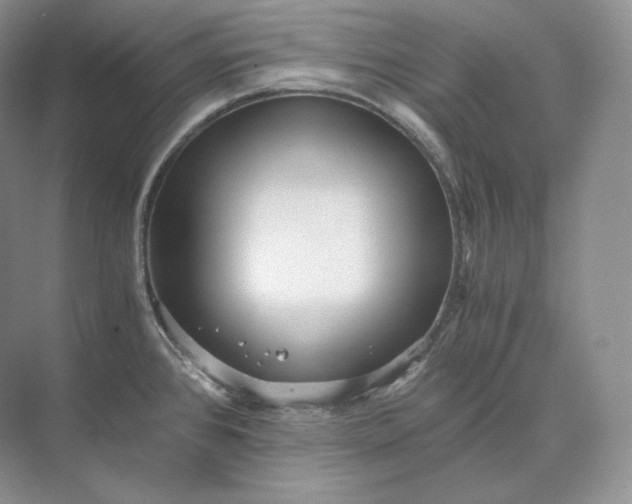 X0000073531384200608141015