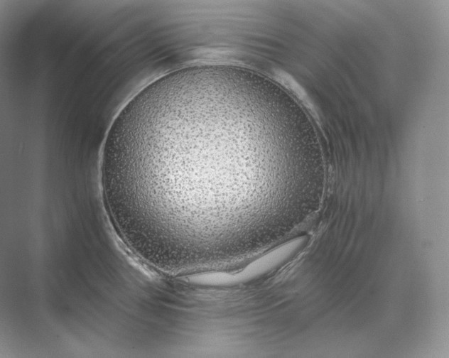 X0000073531386200608141015