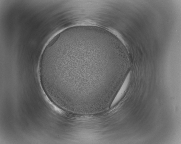 X0000073531387200608141015