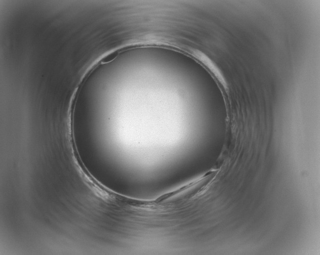 X0000073531388200608141015