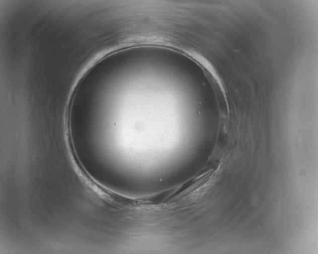 X0000073531389200608141015