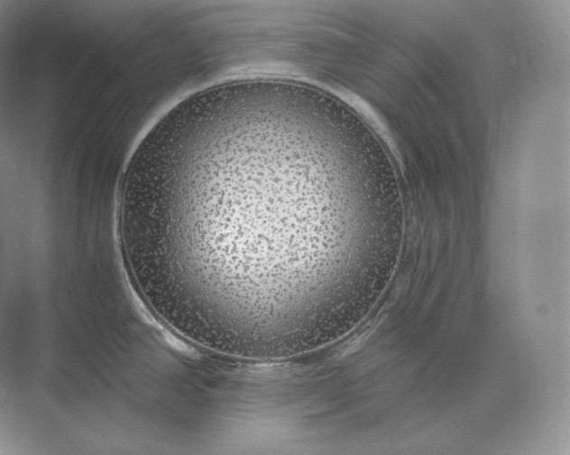 X0000073531390200608141015