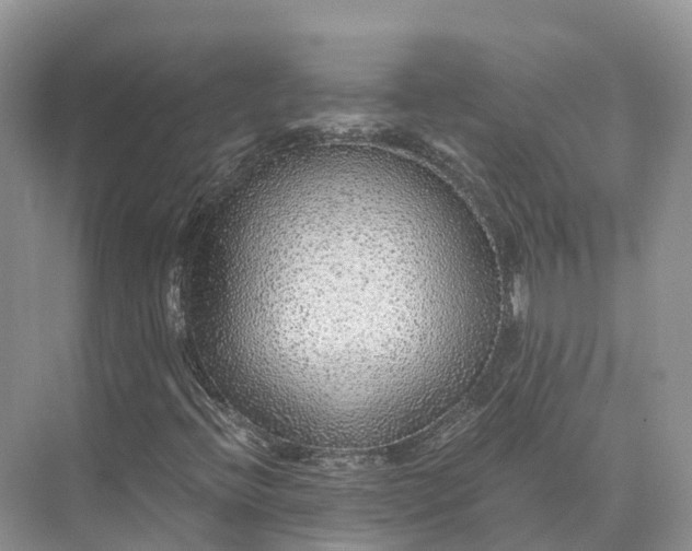 X0000073531396200608141014