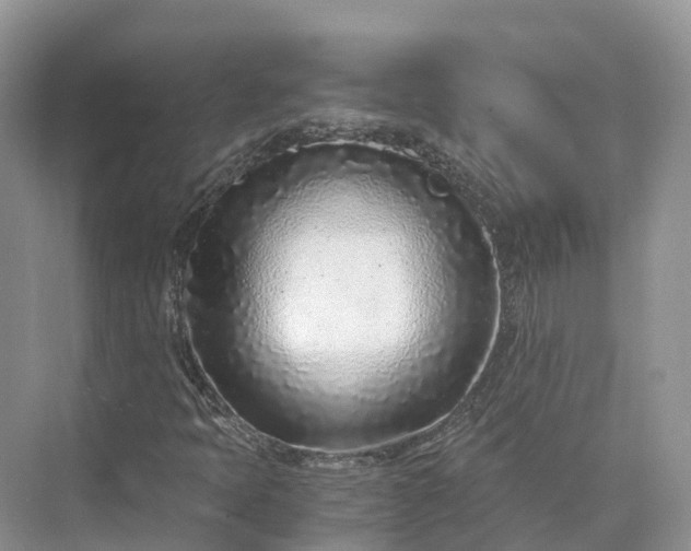 X0000073531397200608141014