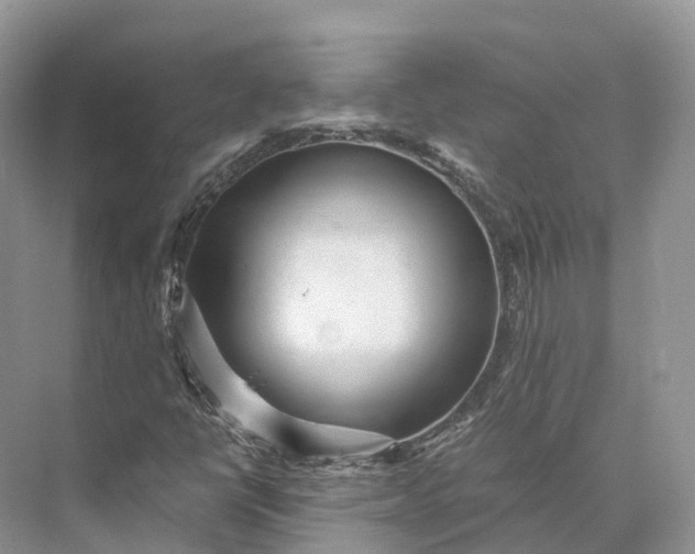 X0000073531398200608141014