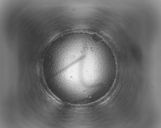 X0000073531401200608141014