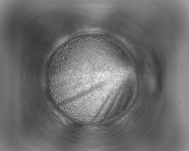 X0000073531405200608141014