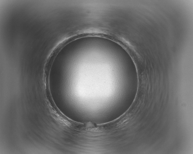 X0000073531408200608141014