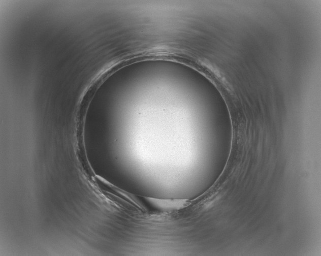X0000073531410200608141014