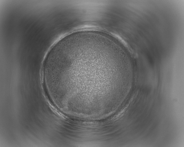 X0000073531413200608141014