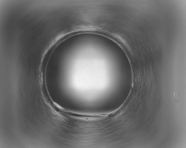 X0000073531414200608141014
