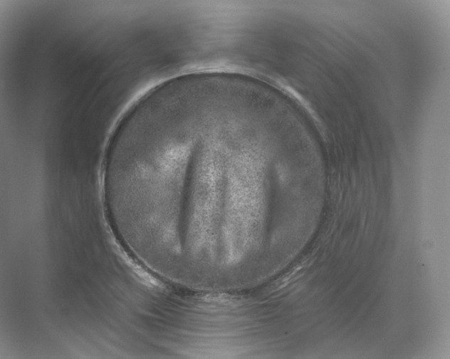 X0000073531416200608141014
