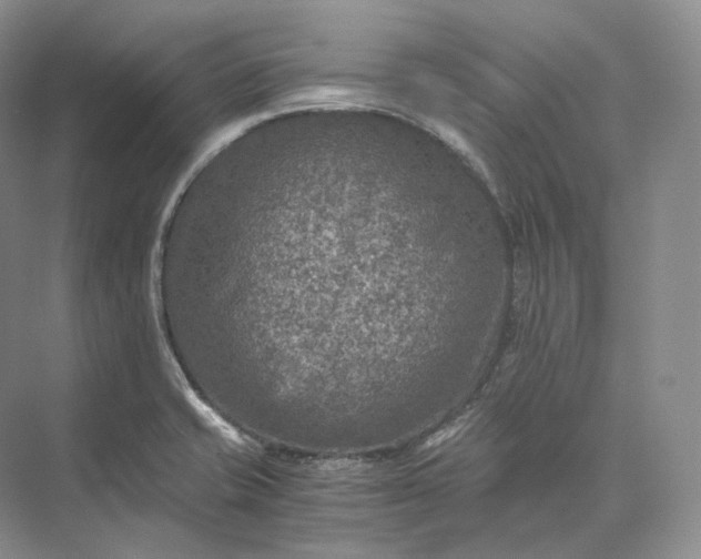 X0000073531421200608141014