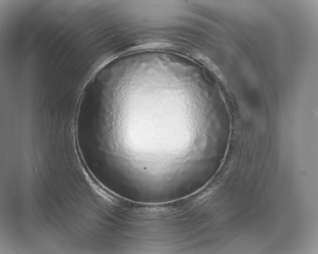 X0000073531425200608141014