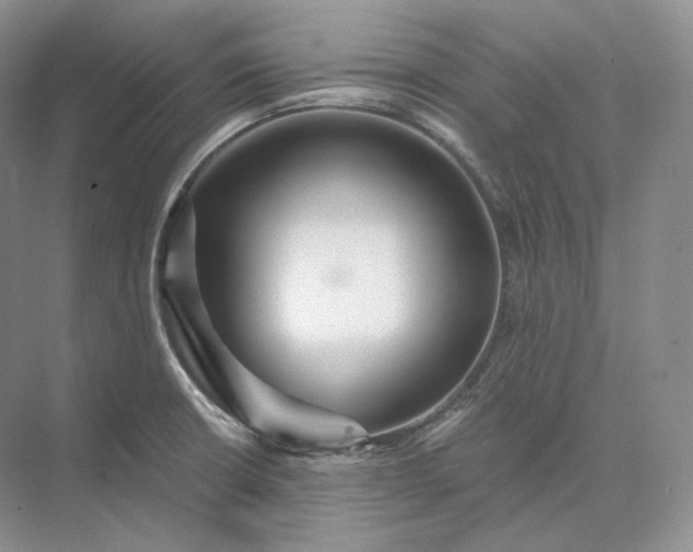 X0000073531426200608141014