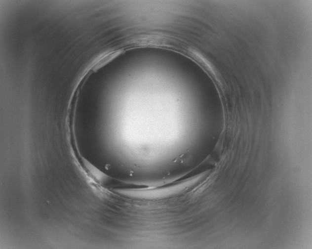 X0000073531434200608141015
