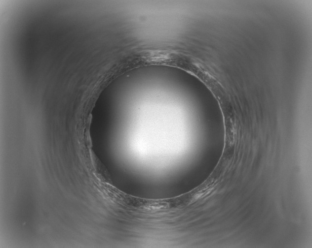 X0000073531441200608141014