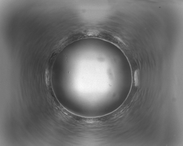 X0000073531443200608141014