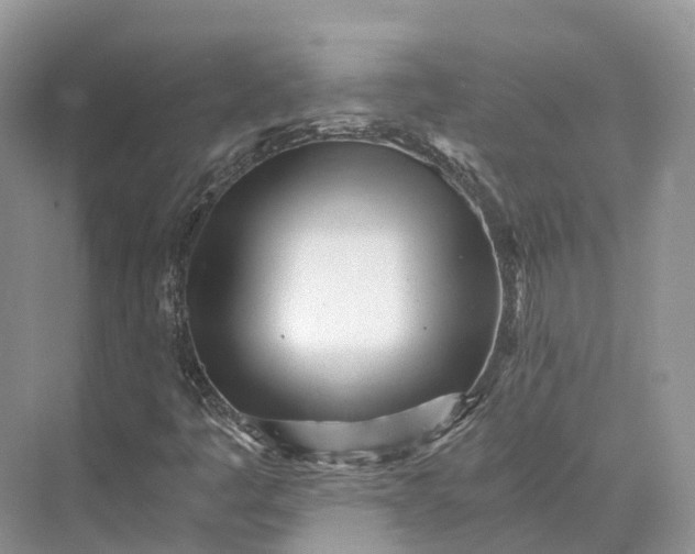 X0000073531445200608141014