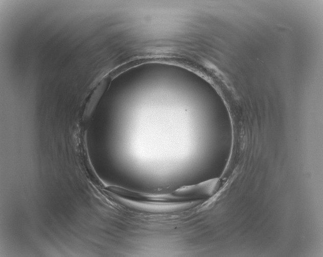 X0000073531449200608141014