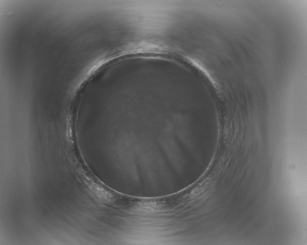 X0000073531455200608141014
