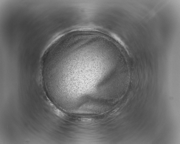 X0000073531456200608141014