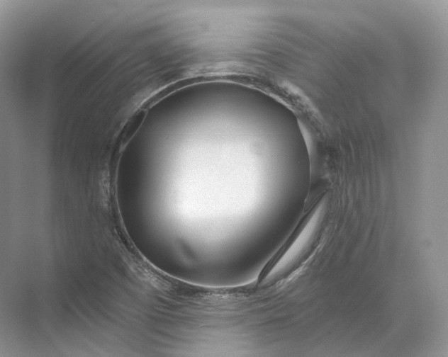 X0000073531457200608141014