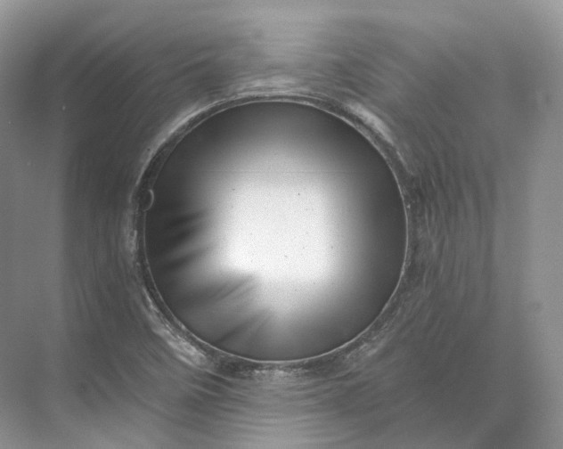 X0000073531458200608141014