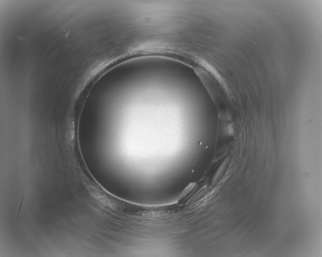 X0000073531461200608141013