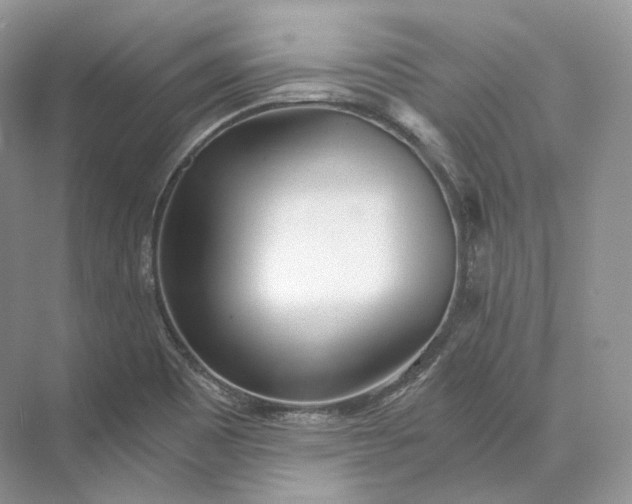 X0000073531465200608141013