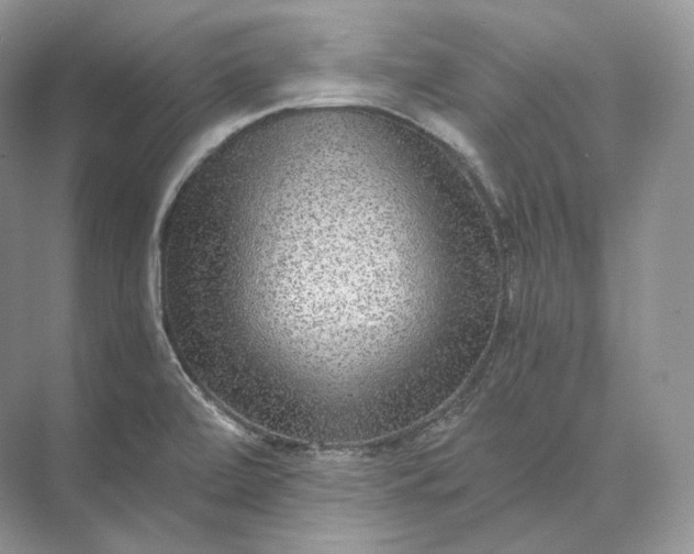 X0000073531472200608141013
