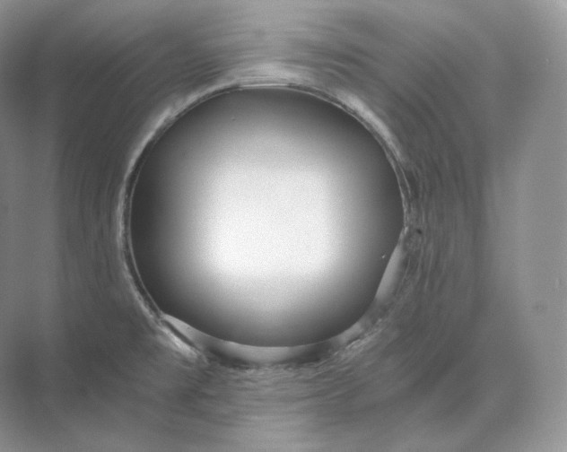 X0000073531477200608141013