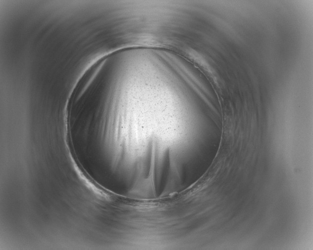 X0000073531479200608141013