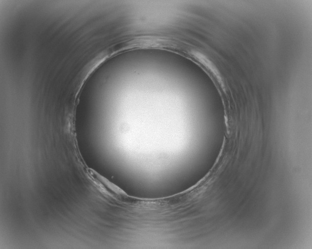 X0000073531481200608141013