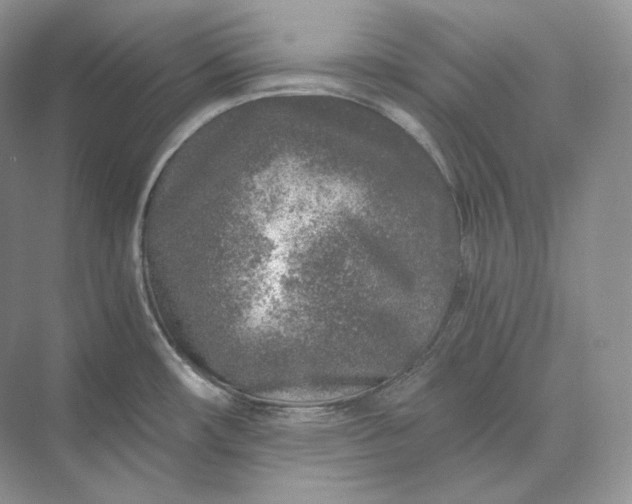 X0000073531482200608141013