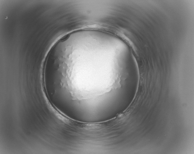 X0000073531483200608141013