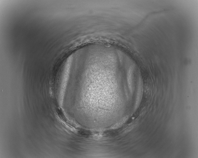 X0000073531490200608141012