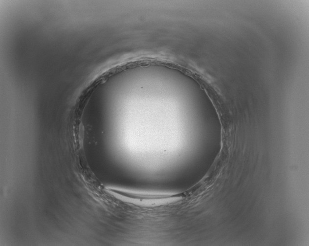 X0000073531496200608141012