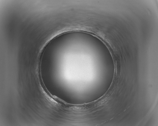X0000073531500200608141012