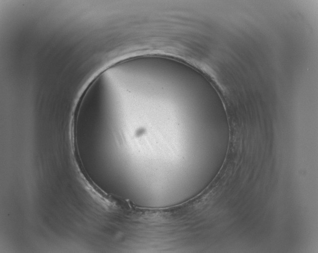 X0000073531516200608141013