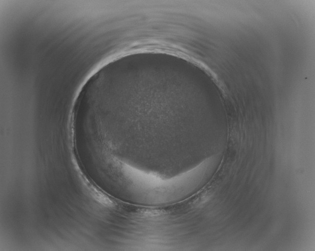 X0000073531522200608141013