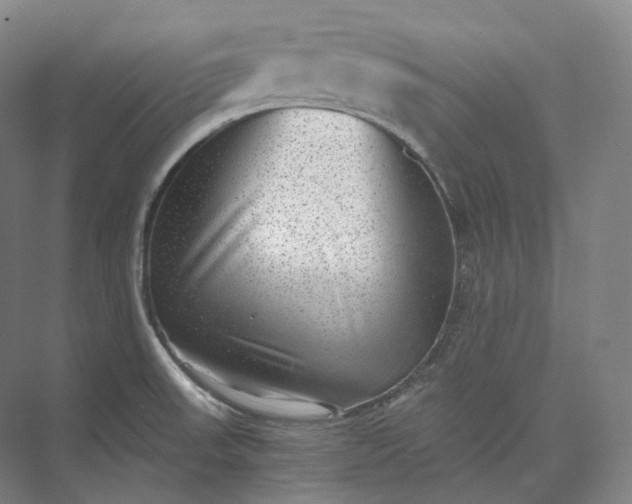 X0000073531523200608141013