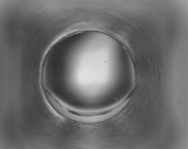 X0000073531528200608141013