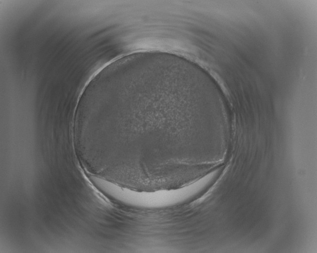 X0000073531529200608141013