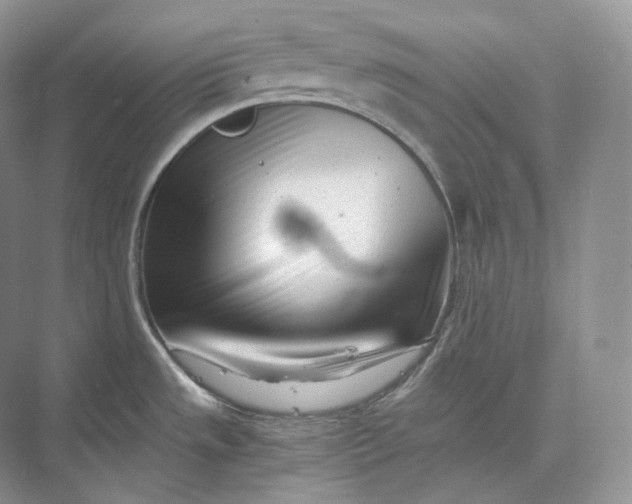 X0000073531533200608141013