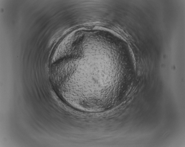 X0000073530002200608211841