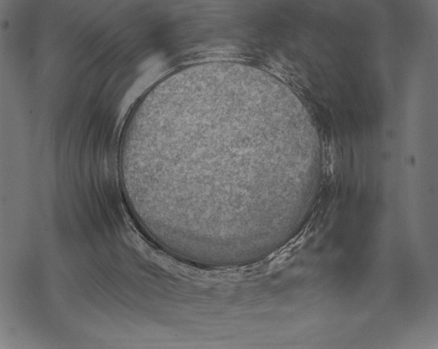 X0000073530004200608211841