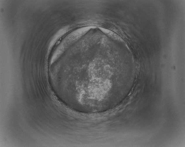 X0000073530006200608211841